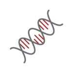 Hereditary causes